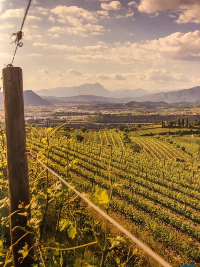 Appartamento Rosegarden Pescantina Kültér fotó